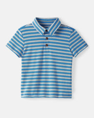 Jay Blue Heather Stripes Polo Shirt