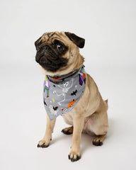 Dracula's Disco Pet Bandana
