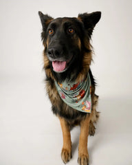 Simba's Safari Pet Bandana