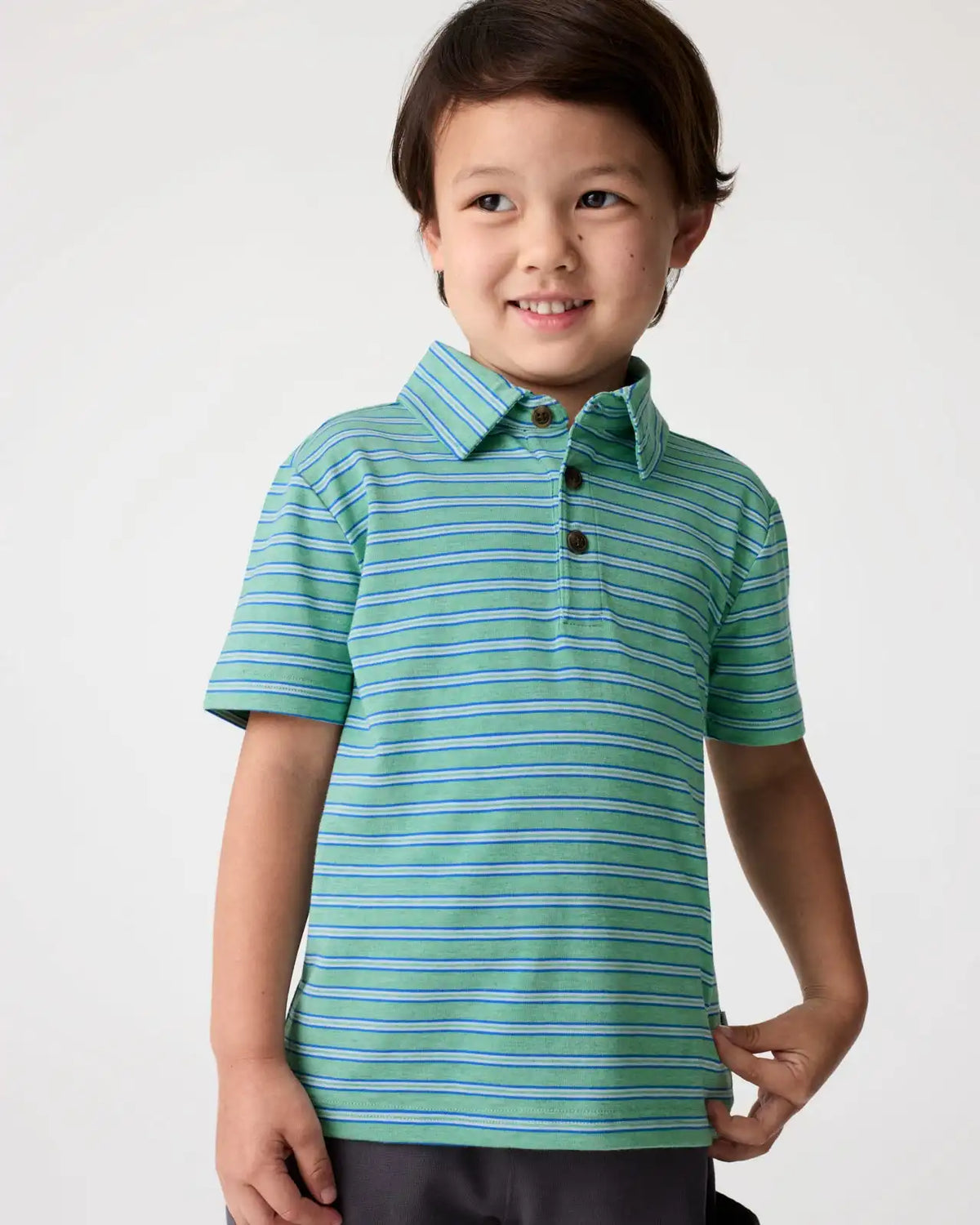 Fresh Green Heather Stripes Polo Shirt