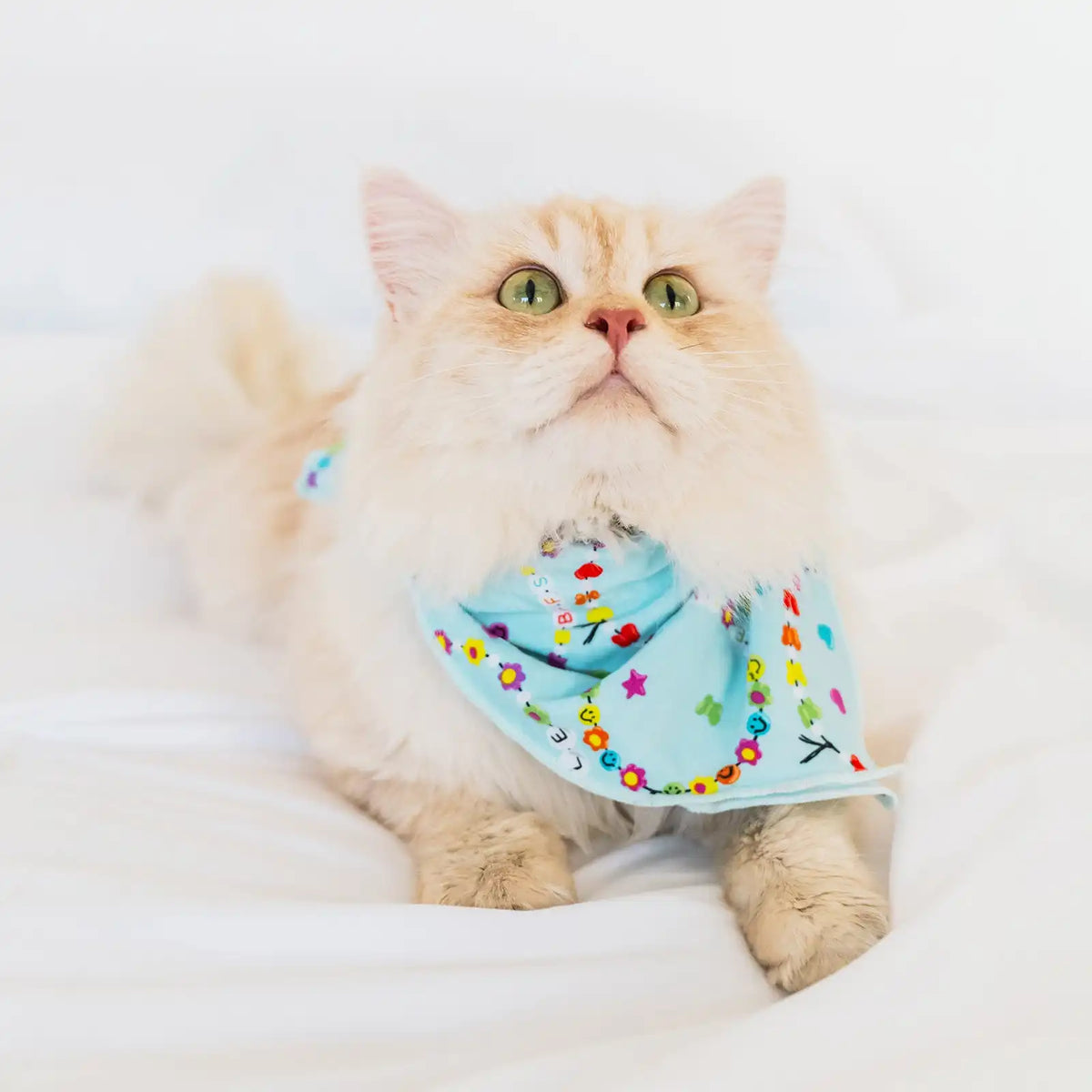 Friends Forever Pet Bandana