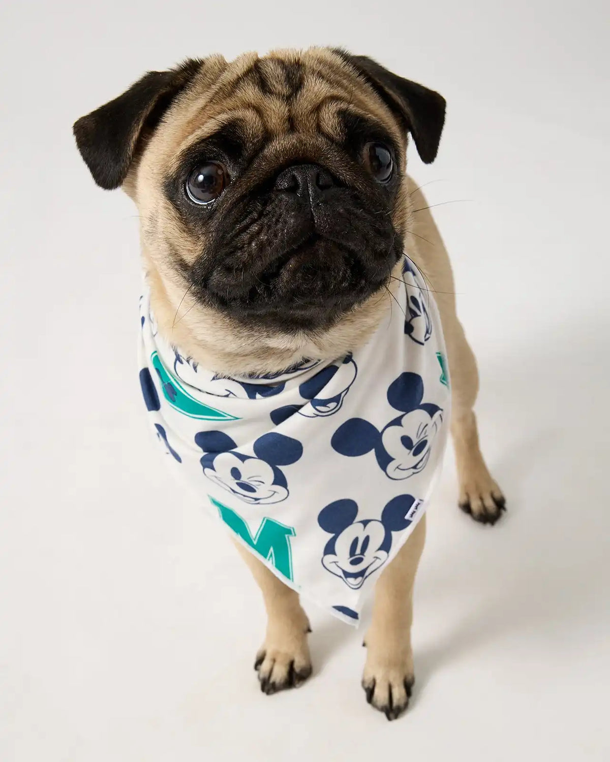 Disney Varsity Mickey Mouse Pet Bandana
