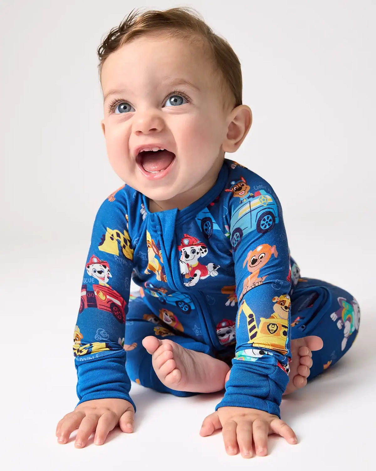 PAW Patrol Adventure Bay Heroes Zippy
